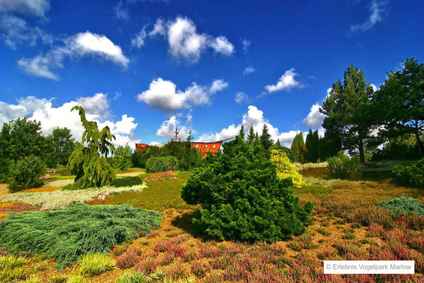 Vogelpark Marlow